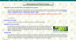 Desktop Screenshot of dpvweb.net